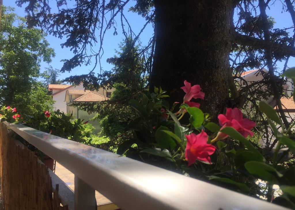 New Royal Bed and Breakfast Agerola Εξωτερικό φωτογραφία